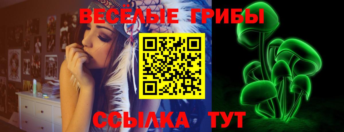 Псилоцибиновые грибы мицелий  Вход с VPN  Азов 