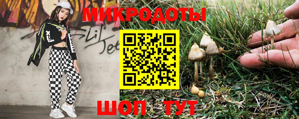 Псилоцибиновые грибы Magic Shrooms Азов