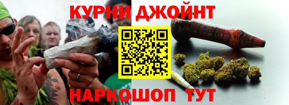 Конопля ГИДРОПОН  Конопля план  Вход с VPN  Азов 